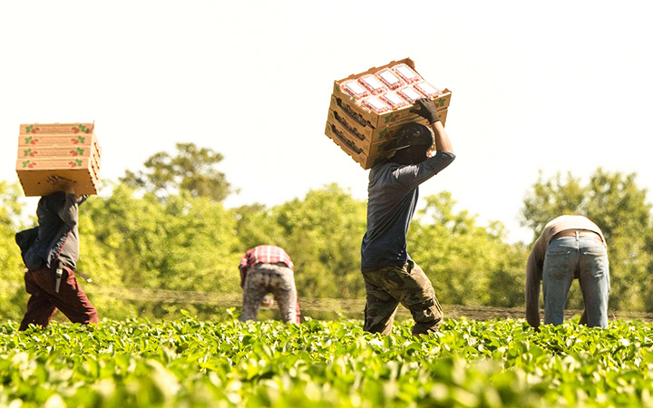 Agricultural Worker Health Program